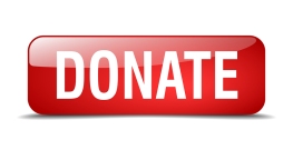 Donate Red Square 3D Realistic Isolated Web Button